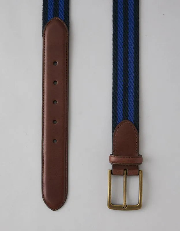 AE Striped Web Belt