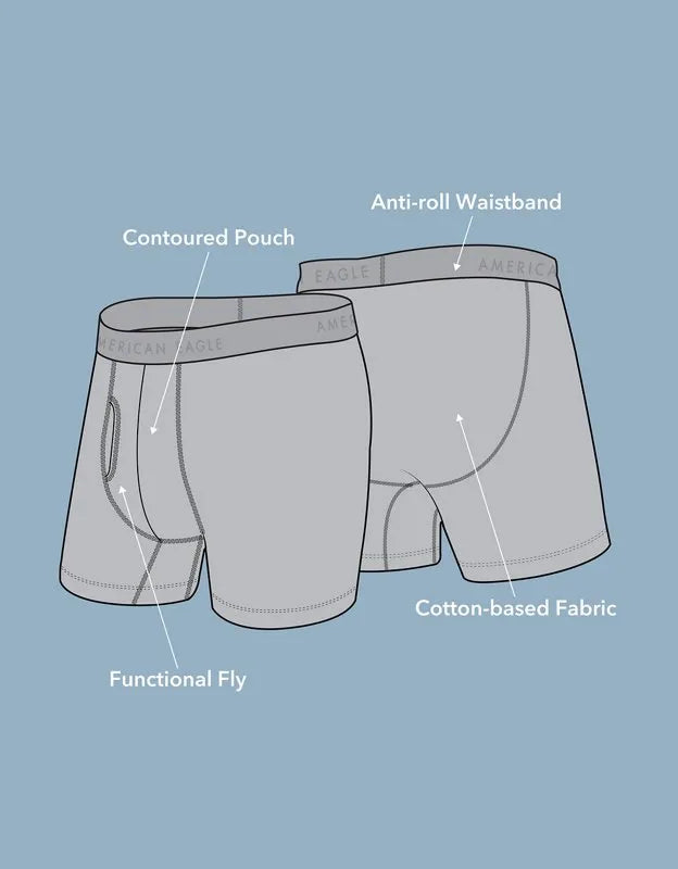 AEO Men's Striped 6" Classic Cotton Boxer Brief