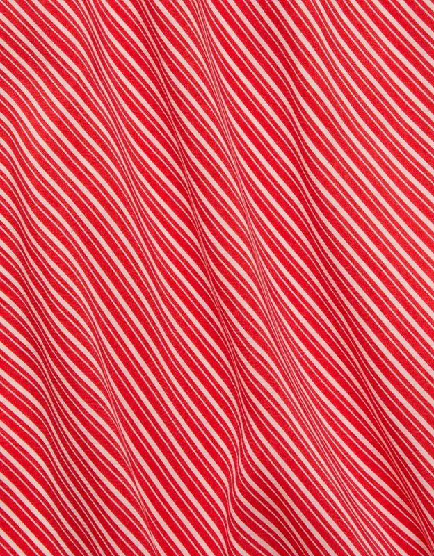 AE77 Striped Slip Skirt