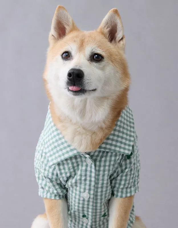 ABO Gingham Hearts Button-Up Dog Shirt