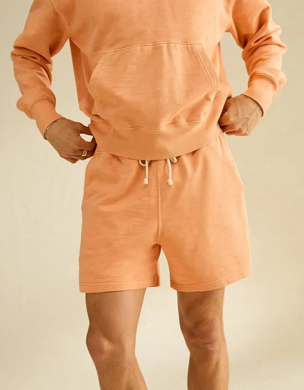 AE Lived-In Cotton Short