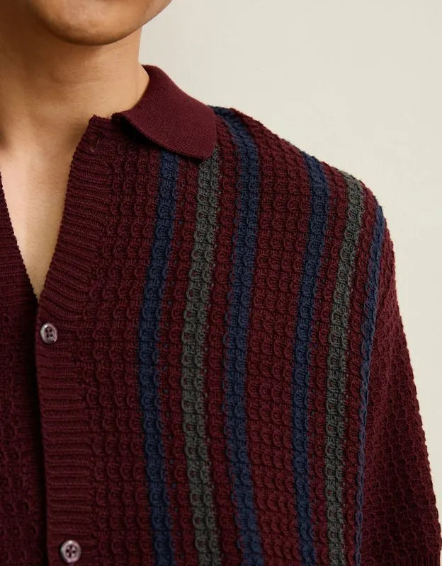 AE Striped Button-Up Sweater Polo