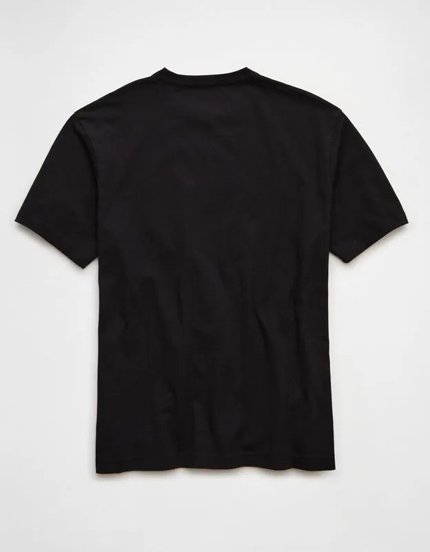 AE Standard Fit Graphic T-Shirt