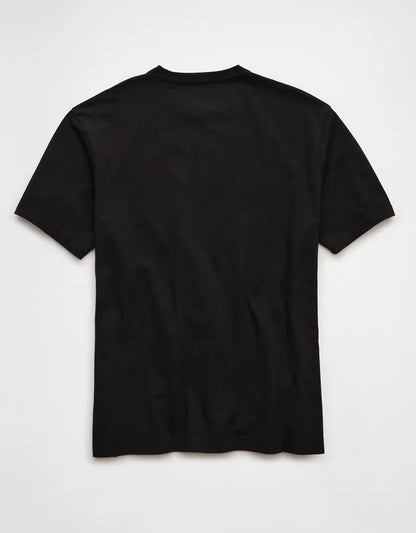 AE Standard Fit Graphic T-Shirt