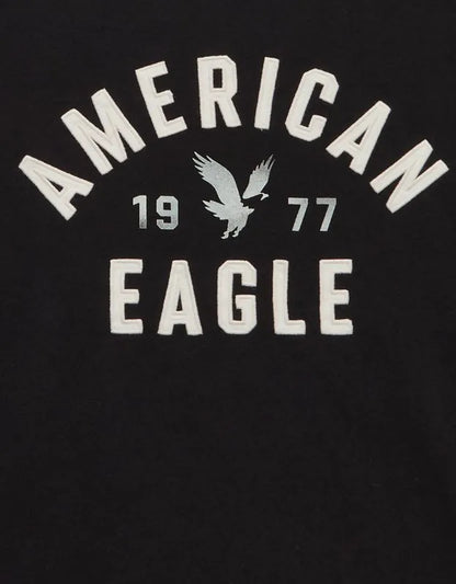 AE Standard Fit Graphic T-Shirt