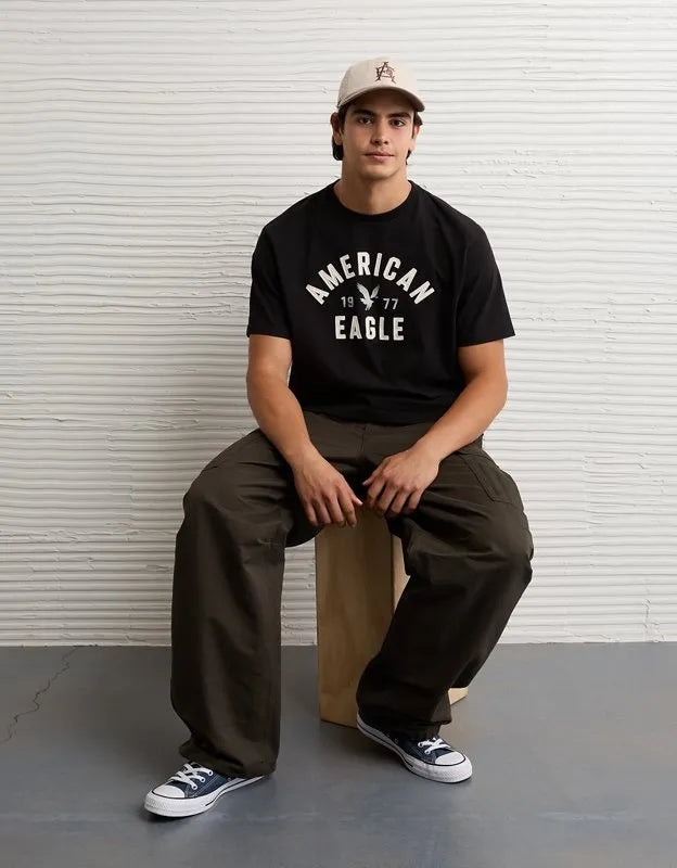 AE Standard Fit Graphic T-Shirt