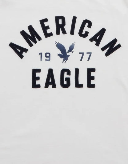 AE Standard Fit Graphic T-Shirt