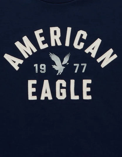AE Standard Fit Graphic T-Shirt