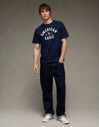 AE Standard Fit Graphic T-Shirt