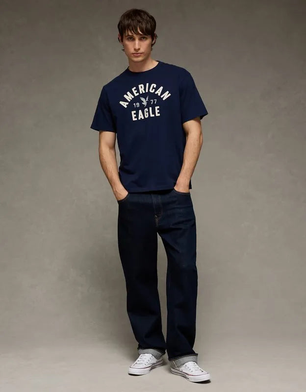AE Standard Fit Graphic T-Shirt