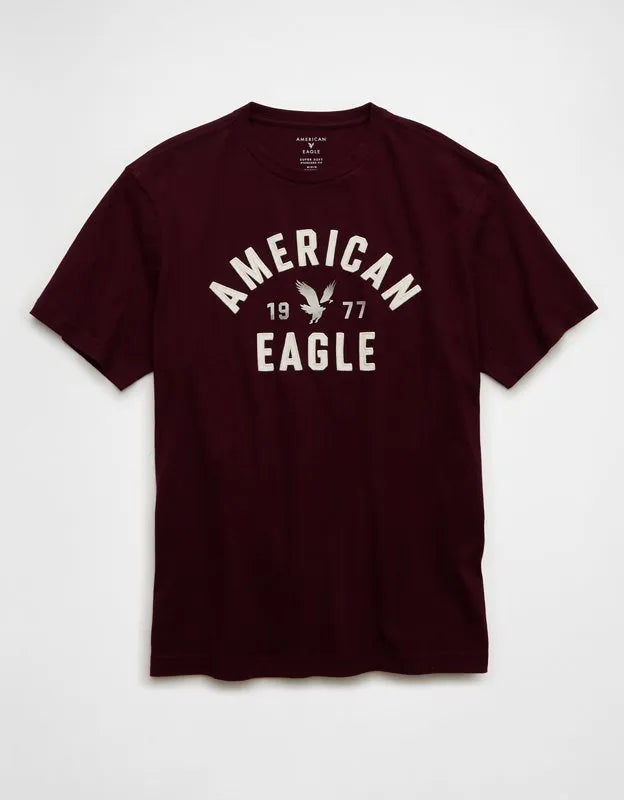 AE Standard Fit Graphic T-Shirt