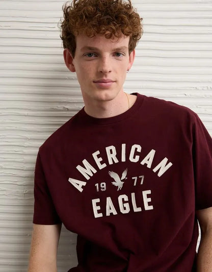AE Standard Fit Graphic T-Shirt