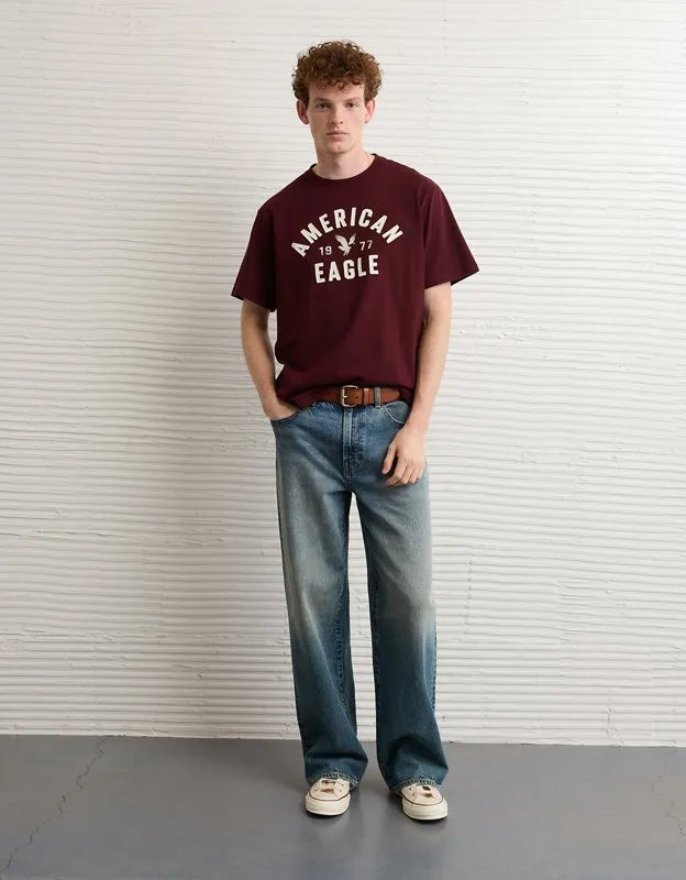 AE Standard Fit Graphic T-Shirt
