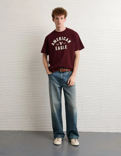 AE Standard Fit Graphic T-Shirt