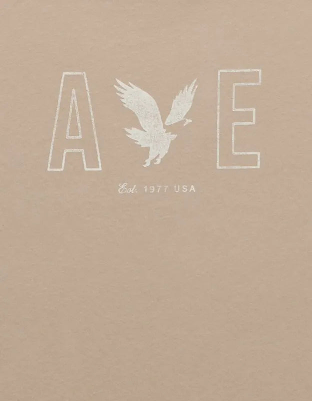 AE Standard Fit Lightweight Logo Graphic T-Shirt