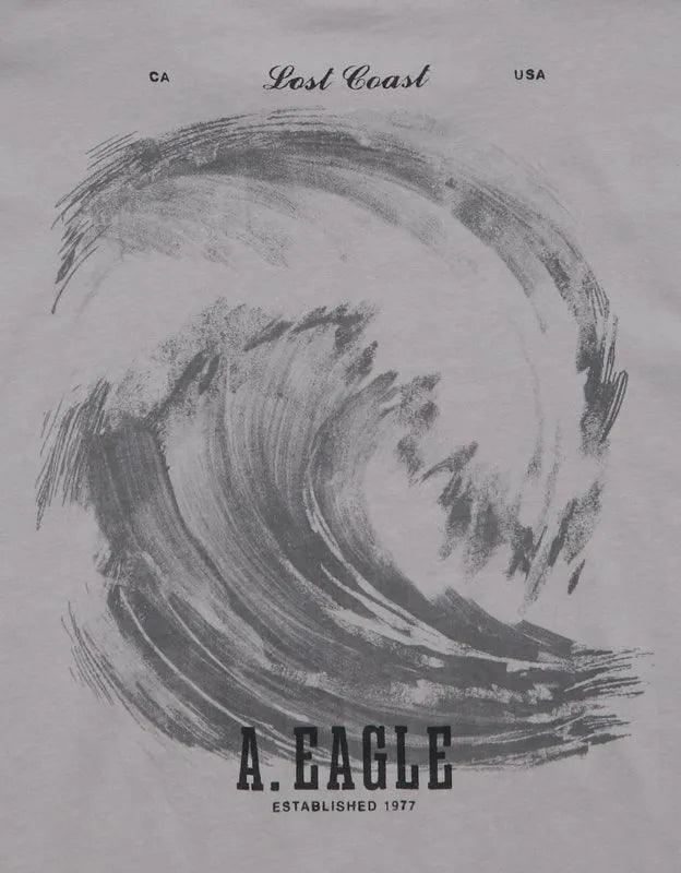 AE Standard Fit Logo Graphic T-Shirt