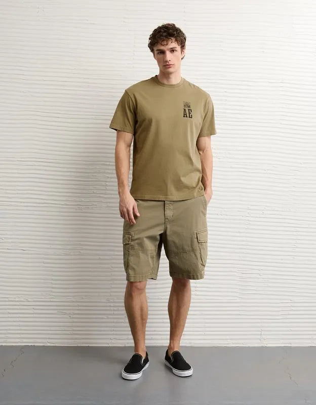 AE Standard Fit Logo Graphic T-Shirt