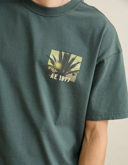 AE Boxy Fit Destination Graphic T-Shirt
