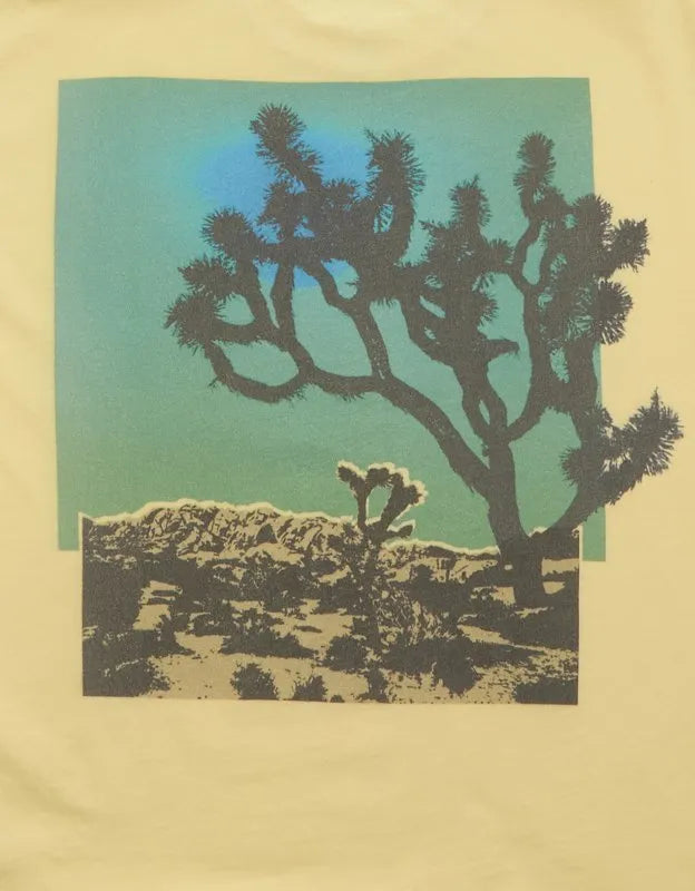 AE Boxy Fit Destination Graphic T-Shirt
