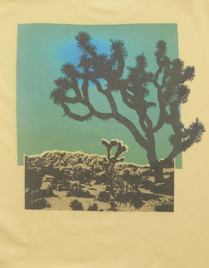 AE Boxy Fit Destination Graphic T-Shirt