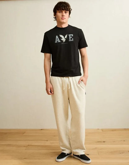 AE Standard Fit Lightweight Logo Graphic T-Shirt