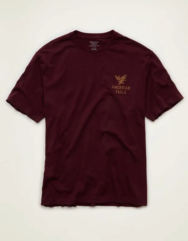 AE Standard Fit Graphic Logo T-Shirt
