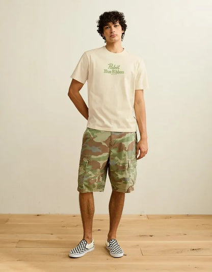 AE Standard Fit Pabst Blue Ribbon Graphic T-Shirt