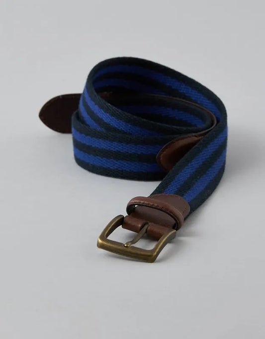 AE Striped Web Belt