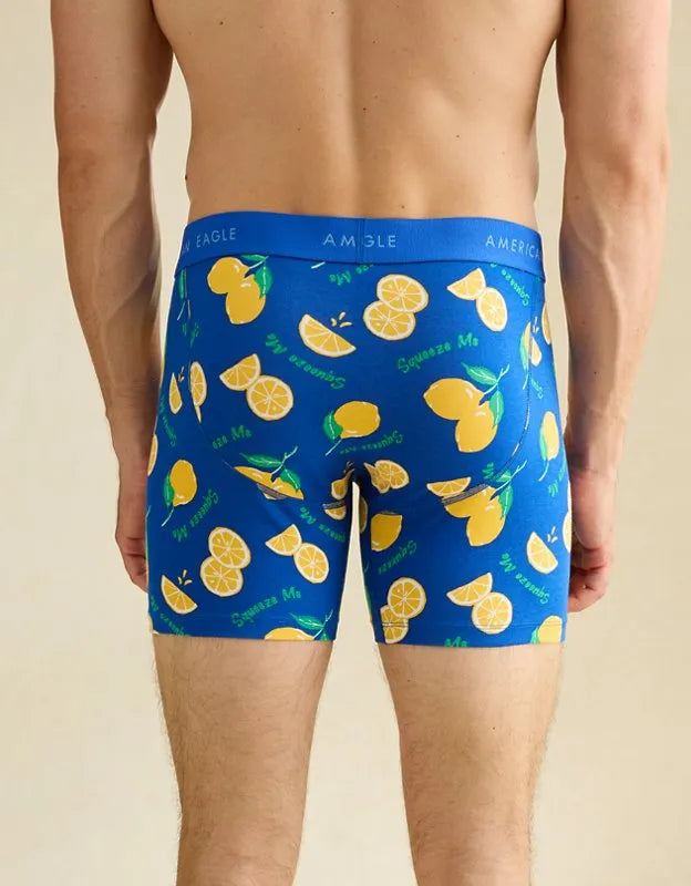 AEO Men's Food 6" Classic Boxer Brief