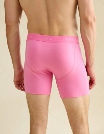 AEO Men's 6" Classic Cotton Boxer Brief