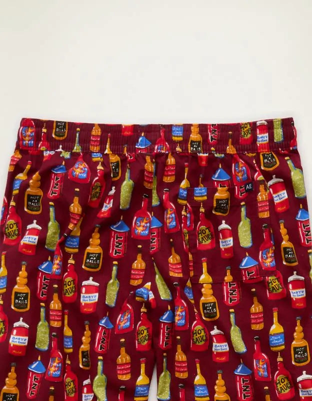 AEO Flannel PJ Pant