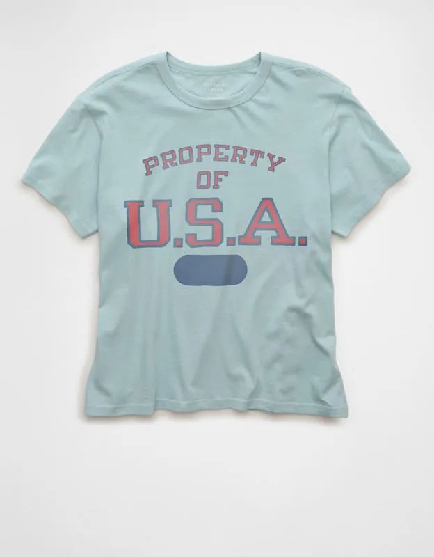 AE Ex-Boyfriend USA Graphic T-Shirt