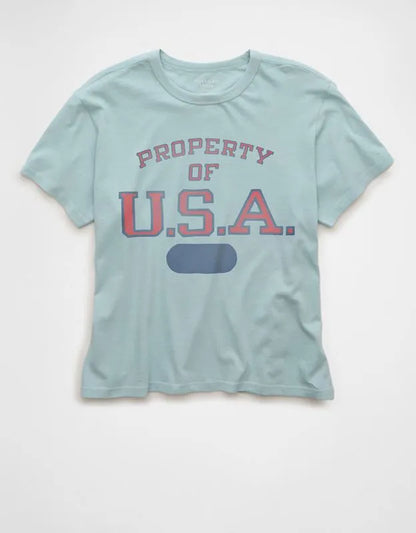 AE Ex-Boyfriend USA Graphic T-Shirt