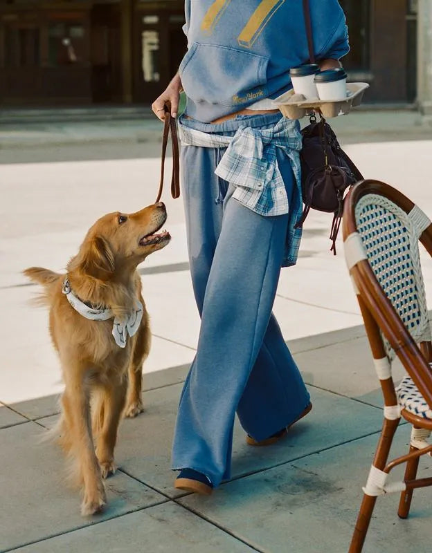 AE Campus Low-Rise Wide-Leg Sweatpant