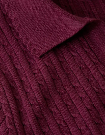 AE V-Neck Cable Knit Sweater Polo