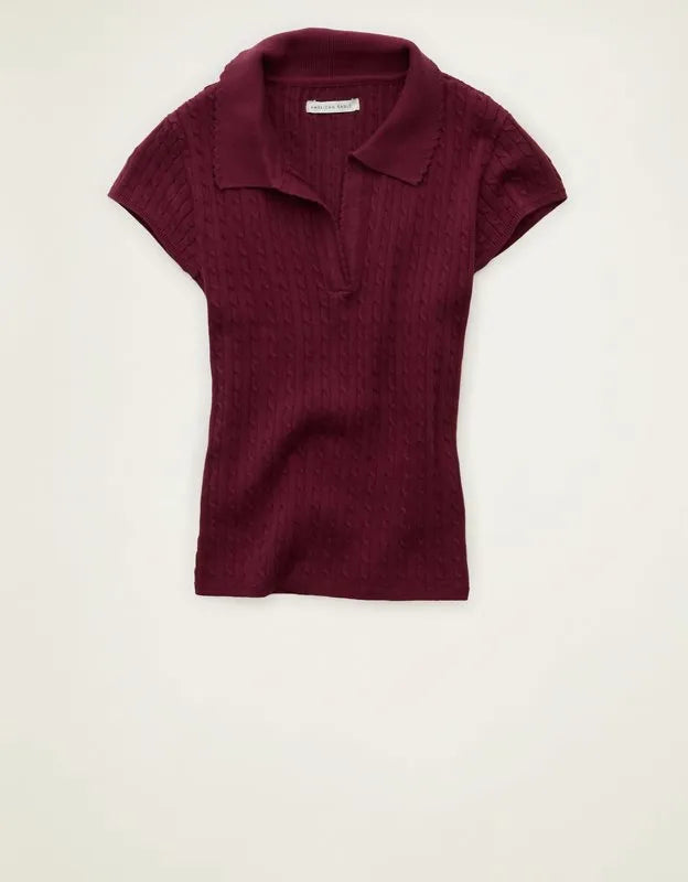 AE V-Neck Cable Knit Sweater Polo
