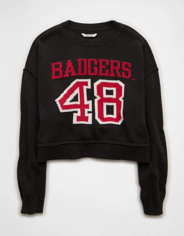AE Wisconsin Badgers Cropped Sweater