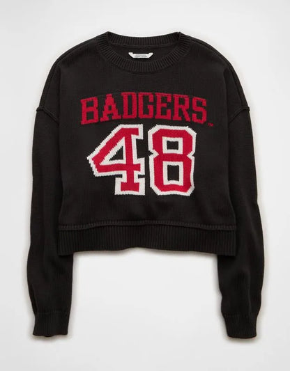 AE Wisconsin Badgers Cropped Sweater