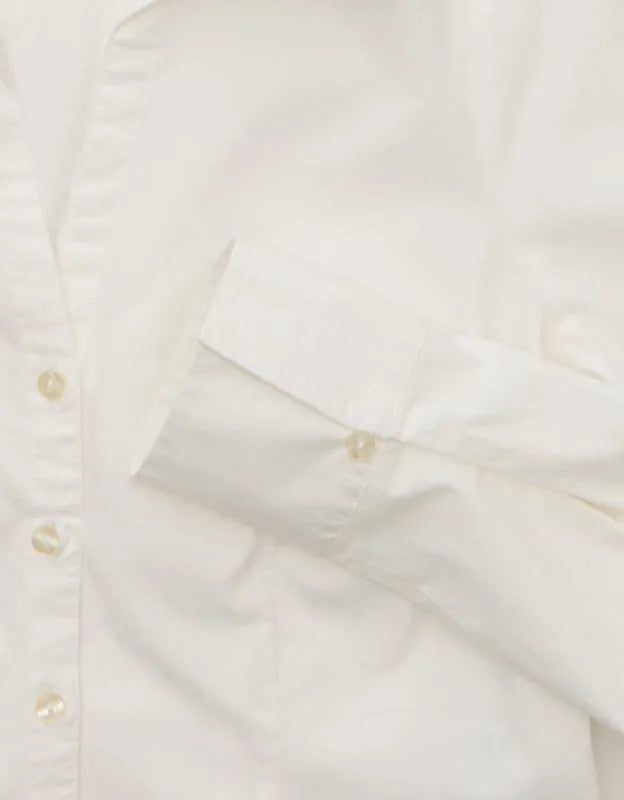 AE Fitted Poplin Button-Up Shirt