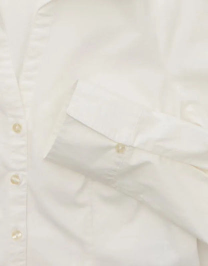 AE Fitted Poplin Button-Up Shirt
