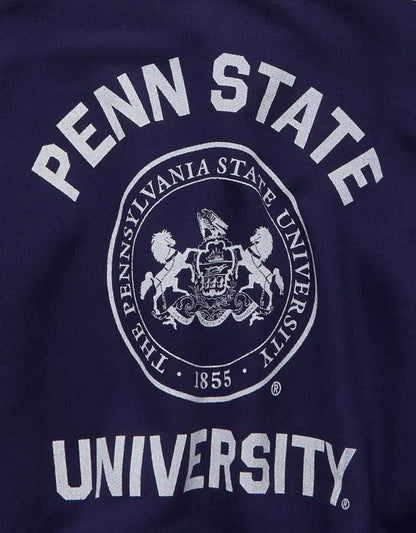AE Penn State V-Neck Graphic Sweatshirt