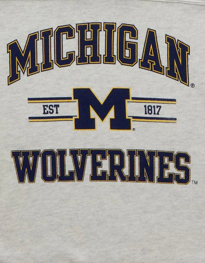 AE Michigan Wolverines V-Neck Graphic Sweatshirt
