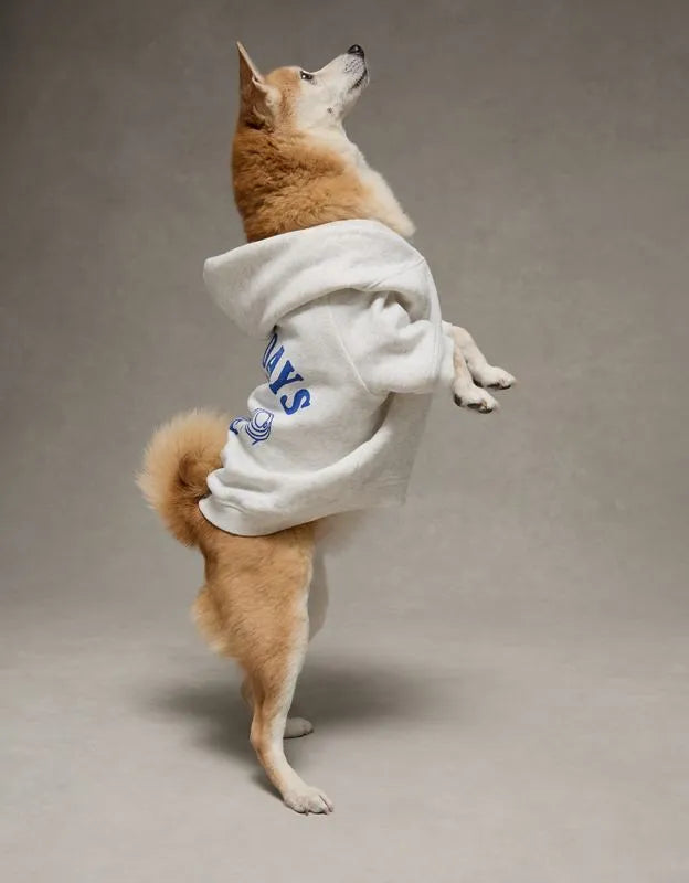 ABO Everyday Luxe Dog Hoodie