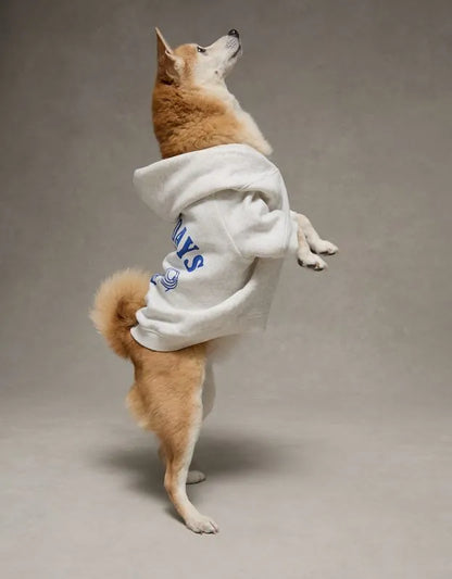 ABO Everyday Luxe Dog Hoodie