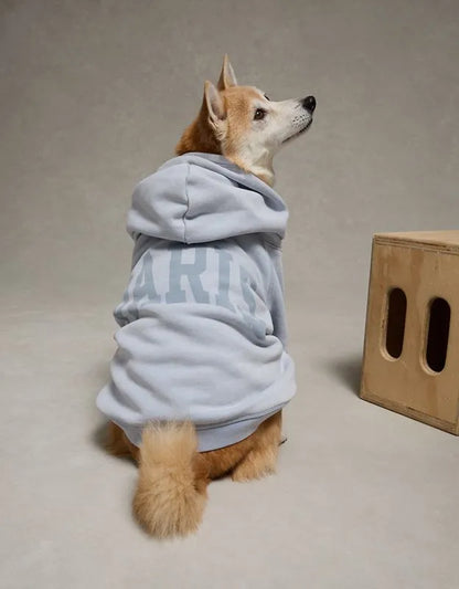 ABO Everyday Luxe Dog Hoodie