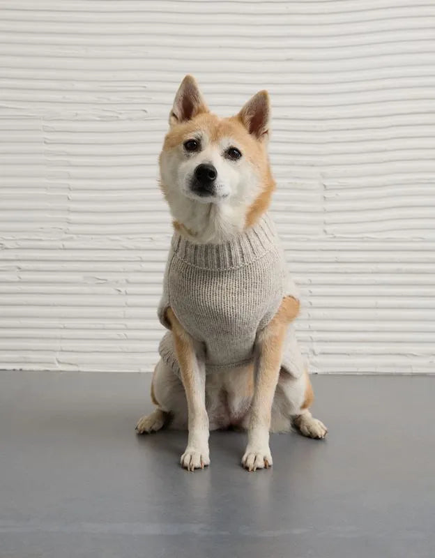 ABO Après-Ski Dog Sweater