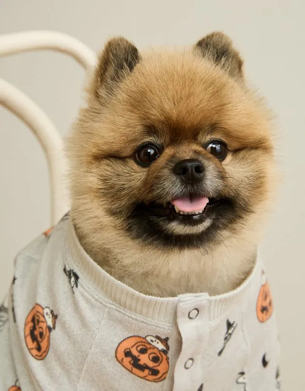 ABO Luxe Plush Snoopy PJ Top