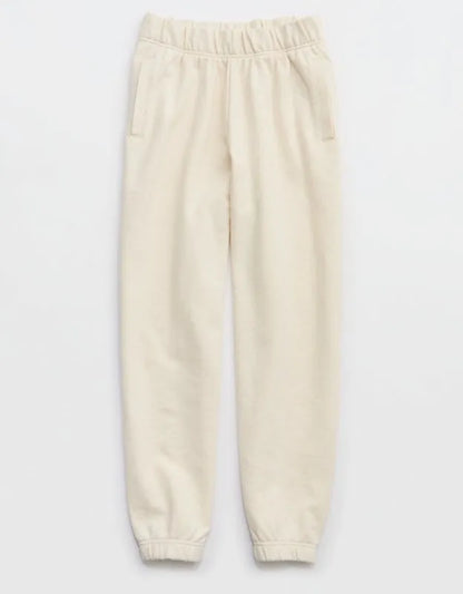 Aerie Jet Setter Jogger