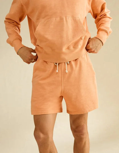 AE Lived-In Cotton Short