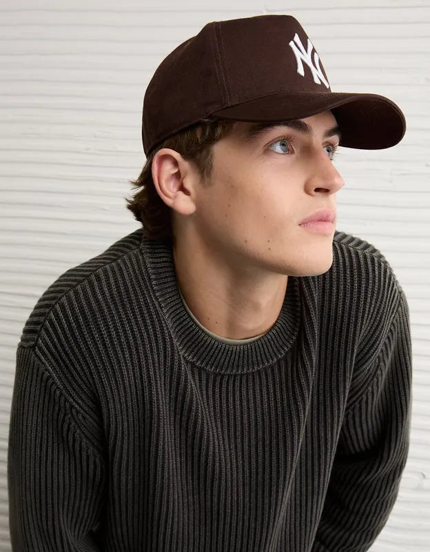 AE Fisherman Crew Neck Sweater